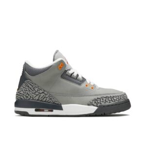 Jordan 3 Retro Cool Grey (2021) (GS) 398614-012 - Phonecase4u photo 1
