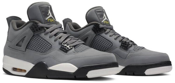 Jordan 4 Retro Cool Grey (2019) 308497-007 - Phonecase4u photo 3