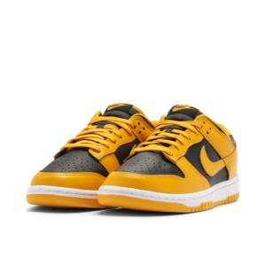 Nike Dunk Low Championship Goldenrod (2021) DD1391-004 - Phonecase4u photo 4