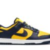 Nike Dunk Low Michigan (2021) DD1391-700 - Phonecase4u photo 1