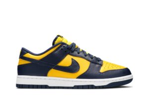 Nike Dunk Low Michigan (2021) DD1391-700 - Phonecase4u photo 1