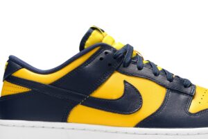 Nike Dunk Low Michigan (2021) DD1391-700 - Phonecase4u photo 2