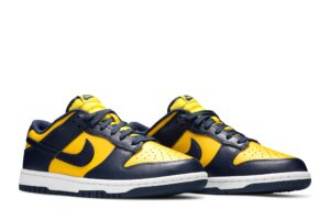 Nike Dunk Low Michigan (2021) DD1391-700 - Phonecase4u photo 8