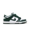 Nike Dunk Low Michigan State (GS) CW1590-102 - Phonecase4u photo 1