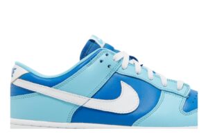 Nike Dunk Low Retro QS Argon (2022) DM0121-400 - Phonecase4u photo 2