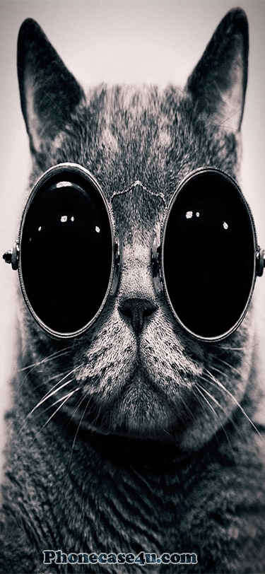 Cool cat boss with sunglass