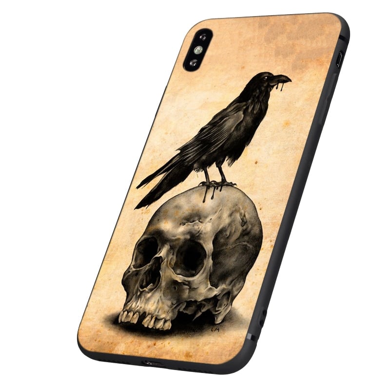 A Bird and an old skull
